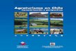 Caracterización y perspectivas Consultado en: …nacionmulticultural.unam.mx/empresasindigenas/docs/2088.pdf · 2014. 11. 7. · Agroturismo en Chile. Caracterización y perspectivas