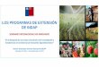Presentación de PowerPoint - Red Innovagro · En Chile hay 260.000 explotaciones campesinas Que aportan el 61% del empleo agrícola Utilizan el 44% de la superficie útil Corresponden