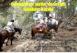 Calendari d’excursions de Cavalls Guiabosc Baridà€¦ · •7 d’octubre, excursió d’un dia, 2 places lliures •8 d’octubre, excursió d’un dia, 3 places lliures •14-15