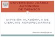 UNIVERSIDAD JUÁREZ AUTÓNOMA DE TABASCOfcm.ens.uabc.mx/aformar/documentos/presentaciones/san_blas/UJA… · Luis Arredondo Figueroa. Continuación de un programa de mejoramiento