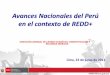 Avances Nacionales del Perú en el contexto de REDD+awsassets.panda.org/downloads/k__peralta__minam__avances... · 2012. 1. 3. · Sistema Monitoreo , Verificación y Reporte REDD