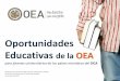 Oportunidades Educativas de la OEA · Las oportunidades disponibles de estudiar y pregunta a otros sobre estas oportunidades Obten los recursos e información necesarios (gastos y