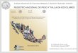 REGISTRO NACIONAL DE PESO Y TALLA · Cambios en la prevalencia de talla baja en el municipio de San Felipe del progreso, Estado de México (1994- 2016) Fuente: Censos Nacionales de