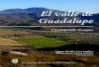 El valle de Guadalupe - Facultad de Cienciasfc.ens.uabc.mx/documentos/libros/LibroValleGuadalupe.pdfEl valle de Guadalupe [recurso electrónico] : conjugando tiempos / coords., Juana
