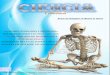 Y Conciencia · Funciones del sistema esquelético 1: Sostén: los huesos son el soporte de los tejidos blandos, y el punto de apoyo de la mayoría de los músculos esqueléticos