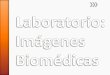 Prácticas: Imágenes biomédicaspersonal.us.es/rogodi/imb/2013_09_26_clase1.pdf · 9/26/2013 Clase 1: Introducción a Matlab Clase 1: Introducción a Matlab 10/03/2013 Clase 2: Matlab