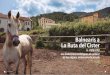 Balnearis a La Ruta del Cister - Cultura i Paisatge · 2019. 5. 21. · ciutats fabrils de Catalunya. Els seus comerciants i exportadors maldaven per aconseguir una via que acostés