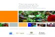 Tierras para la Juventud Rural, Lecciones de cuatro experiencias en ...juventudruralemprendedora.procasur.org/wp-content/uploads/2013/0… · Tierras para la Juventud Rural, Lecciones