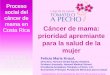 Proceso social del cáncer de mama en Costa Rica Cáncer de ... web TAP/CaMa...Sachs, Mahmoud Sarhan, John R Seffrin Expansion of cancer care and control in countries of low and middle