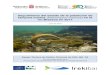 Seguimiento del estado de la población de lamprea marina …€¦ · seguimiento de la lamprea marina en la cuenca baja del río Bidasoa. Se muestra el tramo con presencia frecuente