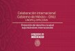 Colaboración internacional Gobierno de México –ONU · 2020. 7. 31. · Colaboración internacional Gobierno de México –ONU: UNOPS y OPS | OMS Protección del derecho a la salud