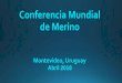 Conferencia Mundial de Merino · Conferencia Mundial de Merino Montevideo, Uruguay ... ALBERTO P. PAZ Ing. Agr. U.B.A ARGENTINA. Producción de lana fina (Merino + derivados) 26.200