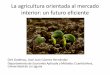 La agricultura orientada al mercado interior: un futuro ...¡ceres y... · exportadora, ídem para la agricultura orientada al mercado interior. • Alcance y limitaciones del argumento