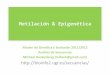 Metilación & Epigenética - UGR · • Para humano hay 1166274639, para ratón 69459481y para Arabidopsis 16321229 datos de metilación. • La base de datos cuenta con dos modos