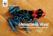 Amazon Alive juan-edited4 FINAL doble pag · de especies de invertebrados, ... emblemáticas como el Parque Nacional del Manu, el Parque Amazónico de Guyana, el Parque Nacio- 