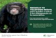 RECICLA TU TELÉFONO MÓVIL para ayudar a salvar a los ... · Iniciativa para los Simios Febrero 1 – abril 30 Tú puedes ayudar al reciclar los dispositivos portátiles que usas