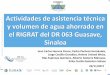 Presentación de PowerPoint€¦ · Erika Cecilia Gastelum Solano a Actividades de asistencia técnica y volumen de agua ahorrado en el RIGRAT del DR 063 Guasave, Sinaloa 29/11/2017