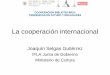 Joaquín Selgas Gutiérrez - UCM · antecedentes y realidades • El ámbito internacional • Principales instituciones, programas y proyectos ... • Extensión de los servicios