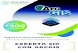 Curso SIG ARCGIS - Geomatica Ambiental...Creación de geodatabase – ArcMap 31.2. Topología poligonal – ArcMap 31.3. Topología línea – ArcMap 31.4. Ejemplo topología – ArcMap