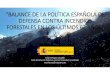 “BALANCE DE LA POLÍTICA ESPAÑOLA DE DEFENSA CONTRA ...7cfe.congresoforestal.es/sites/default/files/comunicaciones/43.pdf · Artículo 43Defensa contra incendios forestales Corresponde