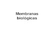Membranas biológicas - UNAMdepa.fquim.unam.mx/amyd/archivero/2.1.MEMBRANASBIOLOGICAS_24471.pdfMembranas biológicas • Las proteínas específica median diferentes funciones de las