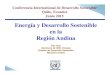 Energía y Desarrollo Sostenible en la Región Andina · Energía y Desarrollo Sostenible en la Región Andina Iván Vera Secretario de ONU- Energía División de Desarrollo Sostenible