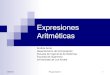 Expresiones Aritméticaswebdelprofesor.ula.ve/ingenieria/amoret/pd1/clase5.pdf13/04/05 Programación I 6 Expresiones Tipos de expresiones Aritméticas: Los operandos que intervienen