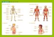 PER A SABER MÉS Atles del cos humà - Santillana · 2016. 9. 12. · 38 39 PER A SABER MÉS Atles del cos humà Els ossos del cos Els músculs del cos La digestió La respiració