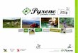 INFO Colonies Estiu Pyrene 2018 MINAIRONS · El juliol 2016 vàrem construir un camp base sostenible al cor dels Pirineus. Aquest proper estiu, repetim l’experiència… al Campament