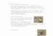 davidcruz2016.files.wordpress.com€¦  · Web viewCapricis de Goya “El somni de la raó produeix monstres” Tema: Goya ens presenta en el seu gravat a un escriptor dormint damunt