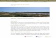 Desembocadura de la Tordera - Cilma i informes/Cataleg... · Desembocadura de la Tordera Codi: 85 Superfície i municipis que es comprenen: 312,22 ha. Blanes. Delimitació: Àrea