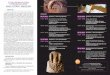 XVI CURS D’ARQUEOLOGIA IL•LICITANA DONES, HISTÒRIA I ...reflectits en l’art prehistòric, en el registre arqueològic ibèric i la seua iconografia o en els papirs grecs de
