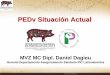PEDv Situación Actual - Porcimex PEDv CMP.pdf · 1. Similar a GET (Diarrea y menos vómito, alta morbilidad) 2. Afecta todas las edades (lechones lactantes) 3. Morbilidad cercana