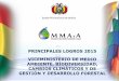 Presentación de PowerPoint · 2019. 2. 15. · PRINCIPALES LOGROS 2015 VICEMINISTERIO DE MEDIO AMBIENTE, BIODIVERSIDAD, CAMBIOS CLIMÁTICOS Y DE GESTIÓN Y DESARROLLO FORESTAL 1
