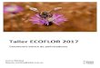 Taller ECOFLOR 2017mariposas nocturnas de las familias Sesiidae, Sphingidae y Zygaenidae, realizan también una polinización de flores nocturnas como Iridáceas (Iris spp), amarilidáceas
