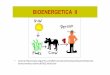 BIOENERGETICA 2 - 2014-II [Modo de compatibilidad] · BIOENERGETICA II. PRODUCCION DE CALOR Origen a) Producción metabólica: reacciones bioquímicas exotérmicas. b) Producción