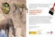 LA PALEONTOLOGÍA DE LA COMUNIDAD DE MADRID EN 80 …a las 11.00 h se presentará en el Museo Nacional de Ciencias Naturales (MNCN-CSIC) una zona permanente de excavación paleontológica