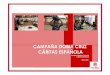 CAMPANA DOBLE CRUZ Declaracion renta 2011 CARITAS · Carga de la campaña en toda Publicación de noticia en Fac de materiales (carteles, :ampaña e ideas para liciten Española con