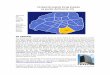TURISTEANDO POR PARIS (a partir del barrio 13) de Paris amplia.pdf · Otra buena idea es hacerse con un mapa de París de los almacenes LaFayette, que son gratis e ir apuntando los