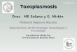 Dres . ME Solana y G. Mirkin³rico 15... · Toxoplasmosis Toxoplasmosis congénita V Consenso Argentino de Toxoplasmosis (2008) Ecografía cerebral. Examen ocular. Serología R.N