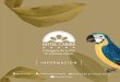 Servicios Hotel Caribe · 2020. 8. 29. · playa Oh Caribe 13 Piscina semiolímpica o Bar y restaurantes Spa Torres de habitaciones . THE CODE .ORG co . Title: Servicios Hotel Caribe