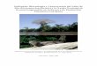 Población, Bioecología y Conservación del Lobo de Río (Pteronura ...€¦ · biodiversidad de la Reserva de Producción Faunística Cuyabeno: Bases para su implementación”,