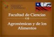 Presentación de PowerPoint - UPM. Agronomos/PRESENTACION... · 2014. 11. 20. · Estaciones experimentales - La Palma en Quillota y El Guindal, cercana a la Ciudad de Los Andes,