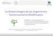 La Biotecnología de los Organismos Genéticamente …...objeto garantizar la seguridad de su uso. En México los OGMs se regulan a través de la Ley de Bioseguridad de los Organismos