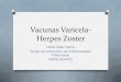 Vacunas Varicela-Herpes Zostergestorweb.camfic.cat/uploads/ITEM_2078_EBLOG_2621.pdf · anticuerpos varicela-zoster adquiridos. x Debe evitarse el uso de salicilatos en el intervalo