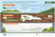 Soluciones al Cambio Climático...Soluciones al Cambio Climático en República Dominicana Según el Indice de Riesgo Climático (Germanwatch 2018) la República Dominicana se encuentra