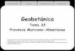 Geobotánica - UM6 Introducción Medio Fitogeografía Vegetación Clima Mediterráneo xérico e incluso desértico (Águilas, Cabo de Cope, Cabo de Gata). Temperaturas elevadas, predominio