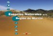 ESPACIOS NATURALES REGIÓN DE MURCIA...Autónoma de Murcia mediante decreto, confor-me al régimen que en el mismo se establezca, in- ... Monumentos Naturales: Espacios o elementos