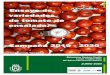 Variedades tomate ensalada 2019 - 2020 Ensayo de ... ensalada_v3.pdfVariedades tomate ensalada 2019 - 2020 1 El desarrollo de nuevas variedades en tomate es muy rápido. La mejora