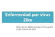 Enfermedad por virus Zika...por virus Zika en Las Américas BRASIL: Desde febrero de 2015, el Ministerio de Salud confirmó la circulación del virus Zika en ese país, cuando 16 personas